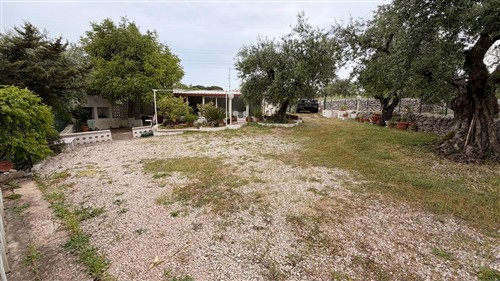 Trullo Con Alcove Con Bagno e Angolo Cottura.Terreno di 4.000 mq.